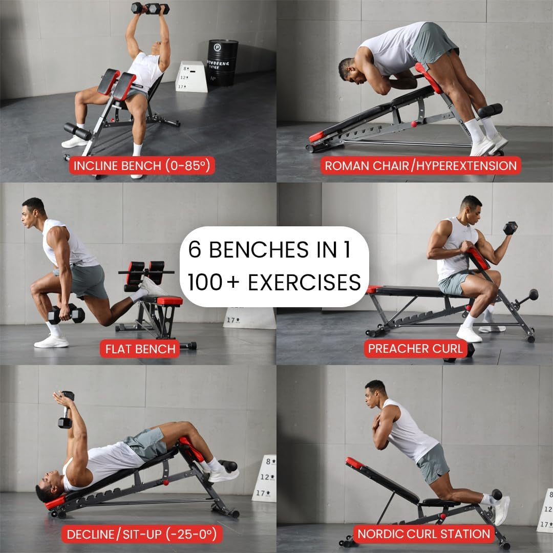 Adjustable Weight Bench For Home Gym showcasing incline, flat, decline benches, and preacher curl exercises.
