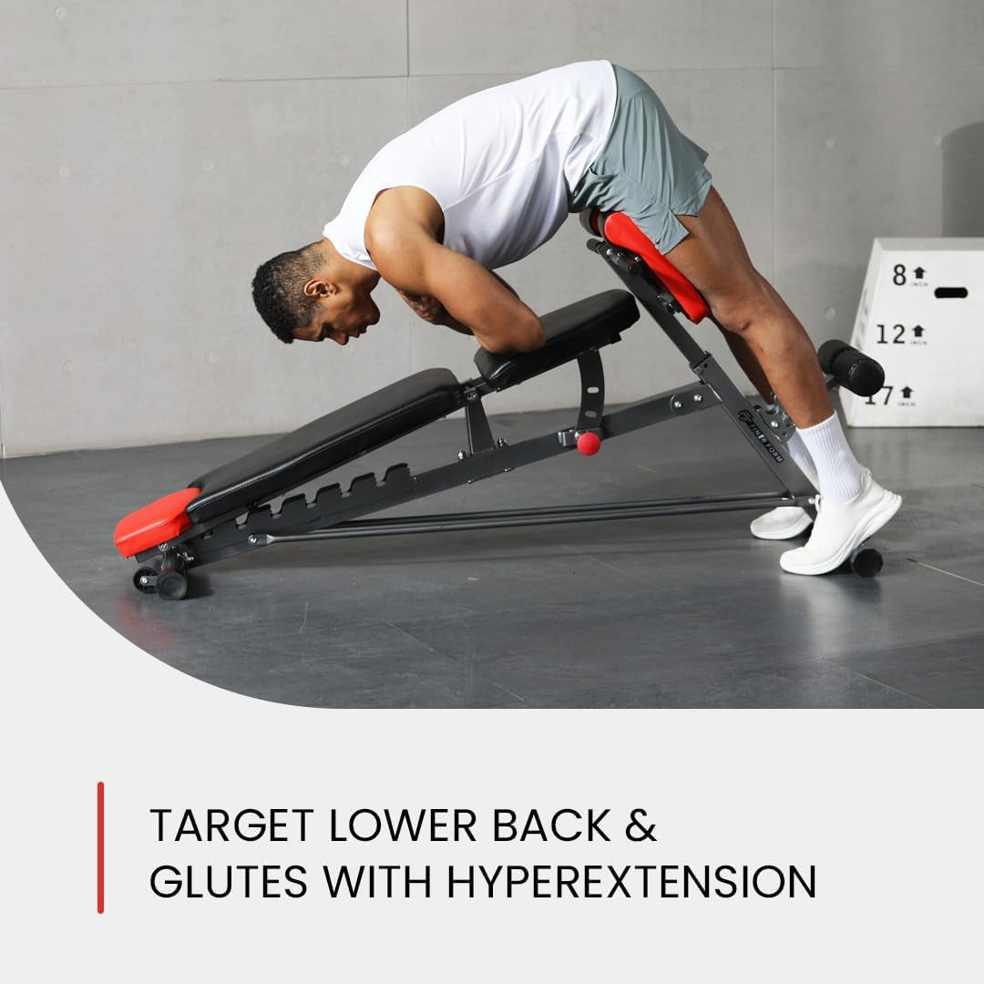 Adjustable Weight Bench For Home Gym. Full All-In-One Body Workout – Hyper Back Extension, Roman Chair, Adjustable Ab Sit up Bench, Incline Decline Bench, Flat Bench
